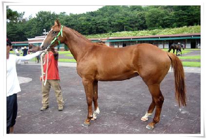 õ������ ����