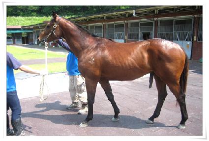 �ٷλ�긮�� ����