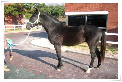 �������� ����