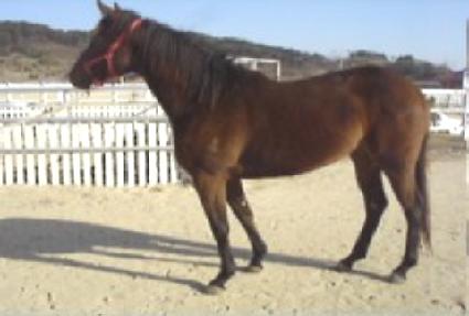 �ۼ۰� ����