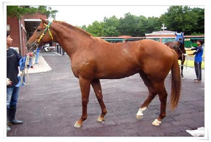 ĳ���м� ����