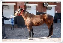 �־��ҵ� (JEWEL SPENDING) ����