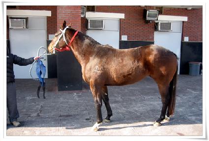 �־��ҵ� ����