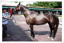 �۷θ��� (GLORY SUN) ����