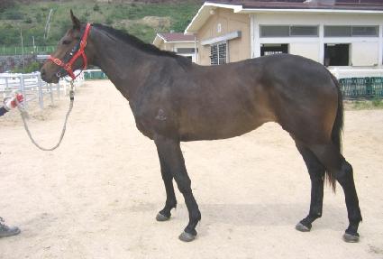 �ָ��ǹ̼� ����