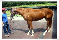 �Ƹ��� (ARISU) ����