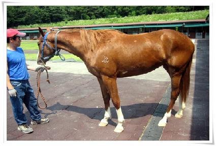 �Ƹ��� ����