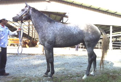 �ູ�Ѱ��� ����