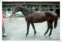 �Ҳ���Ƽ (BULKKOT PARTY) ����