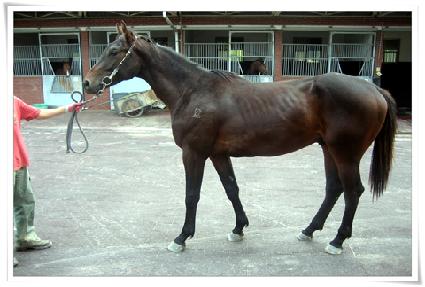 �Ҳ���Ƽ ����