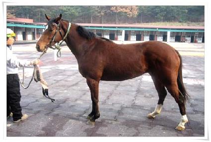 �̽����� ����