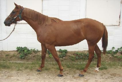 ����Ű�ְ� ����