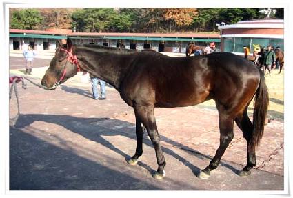 �аǸ� ����