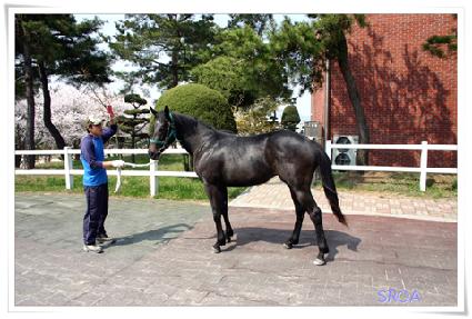 �����꼱 ����