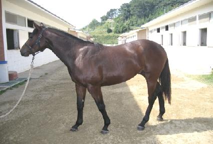 �����ǿ��̽� ����