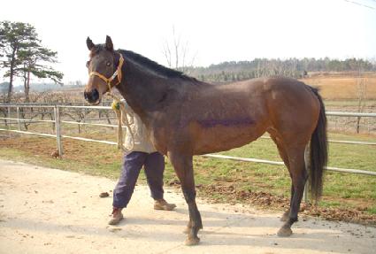 ���̴�è�Ǿ� ����