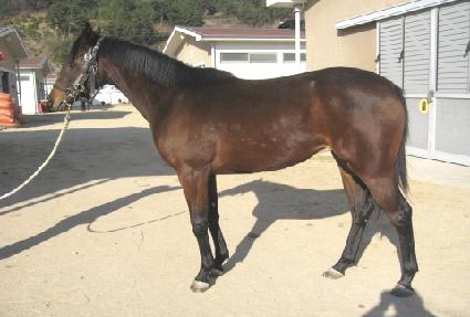 ������� ����