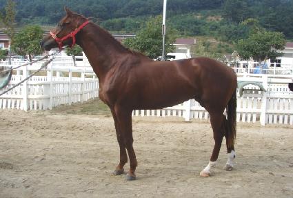 õ��Ȳ�� ����