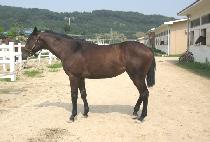 Ȧ������ (HOLLY WORTH) ����