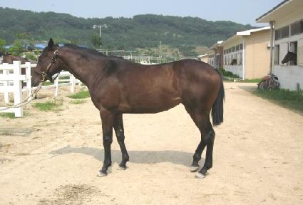 Ȧ������ ����