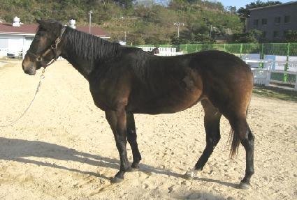 �̸��� ����