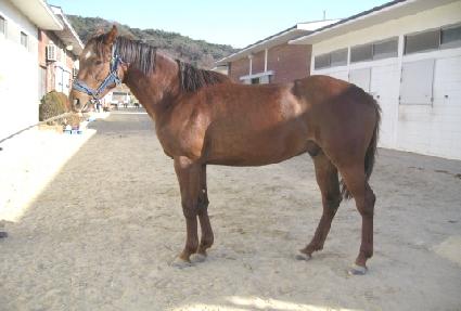 ������ ����