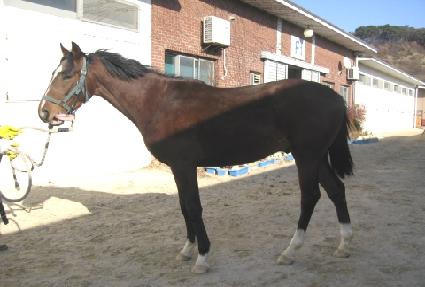 �Ѷ�õ�� ����