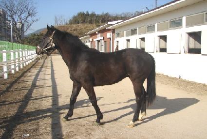 ������ ����