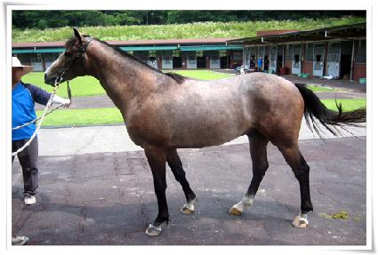 ���̻��� ����