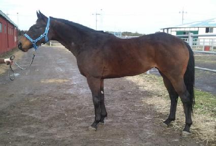 ����Ʈ����ũ ����