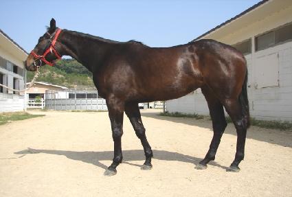 ���ε� ����