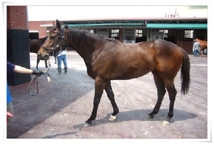 ����ũ��� ����