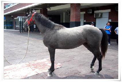 �ǹ����� ����