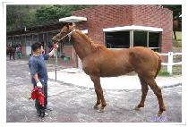 ������� (BIHAENGDAEJANG) ����