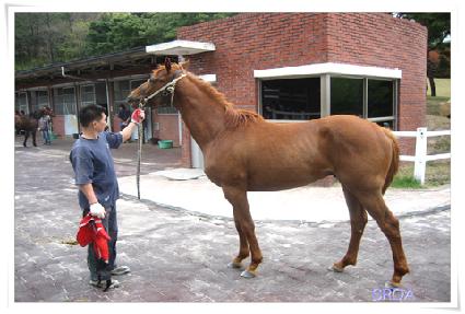 ������� ����