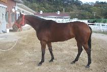 ��ӿ��� (KWAESOK YEOGEOL) ����