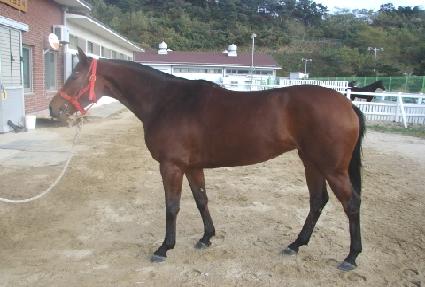 ��ӿ��� ����