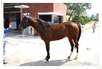 �ٶ��� (BARAMBYEOL) ����