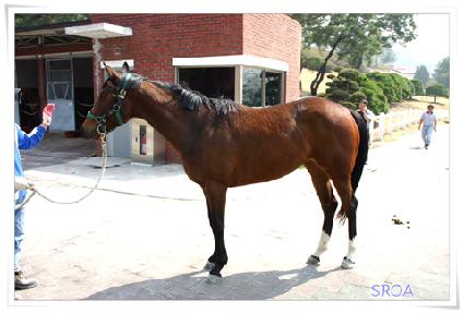 �ٶ��� ����