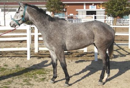 ��ŵ���� ����