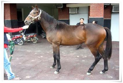 ���ŷ ����