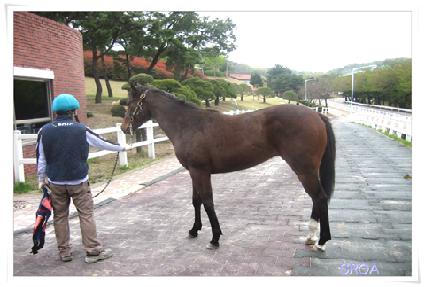 ��꿵�� ����