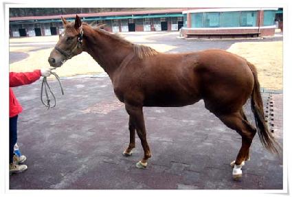 �ö��̹߶� ����