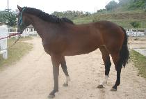 ��������丮 (LEGEND VICTORY) ����