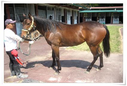 ���ŷ��� ����