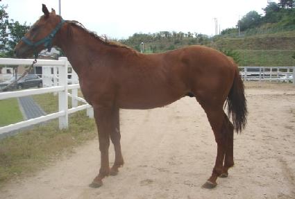 ����Ʈ���̵� ����