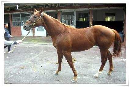 �����׸� ����