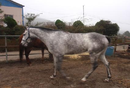 �׷����躸�� ����