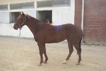 Ȳ���ǲ� (HWANGJEUI KKUM) ����