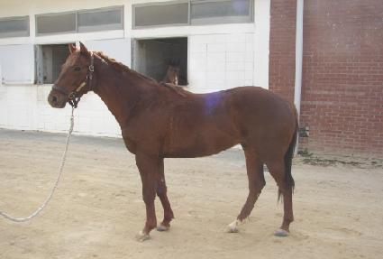 Ȳ���ǲ� ����